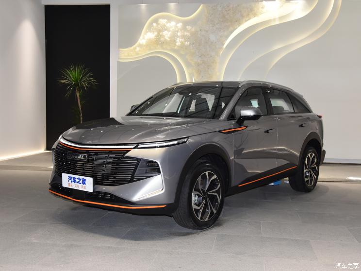 长城汽车 哈弗神兽 2022款 低配版