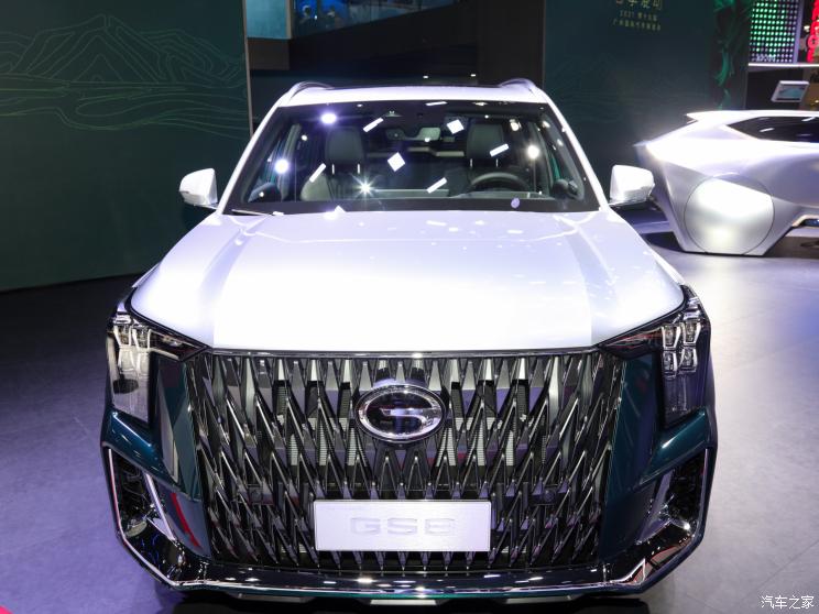 广汽乘用车 传祺GS8 2022款 2.0TM 混动四驱尊贵版 （七座）